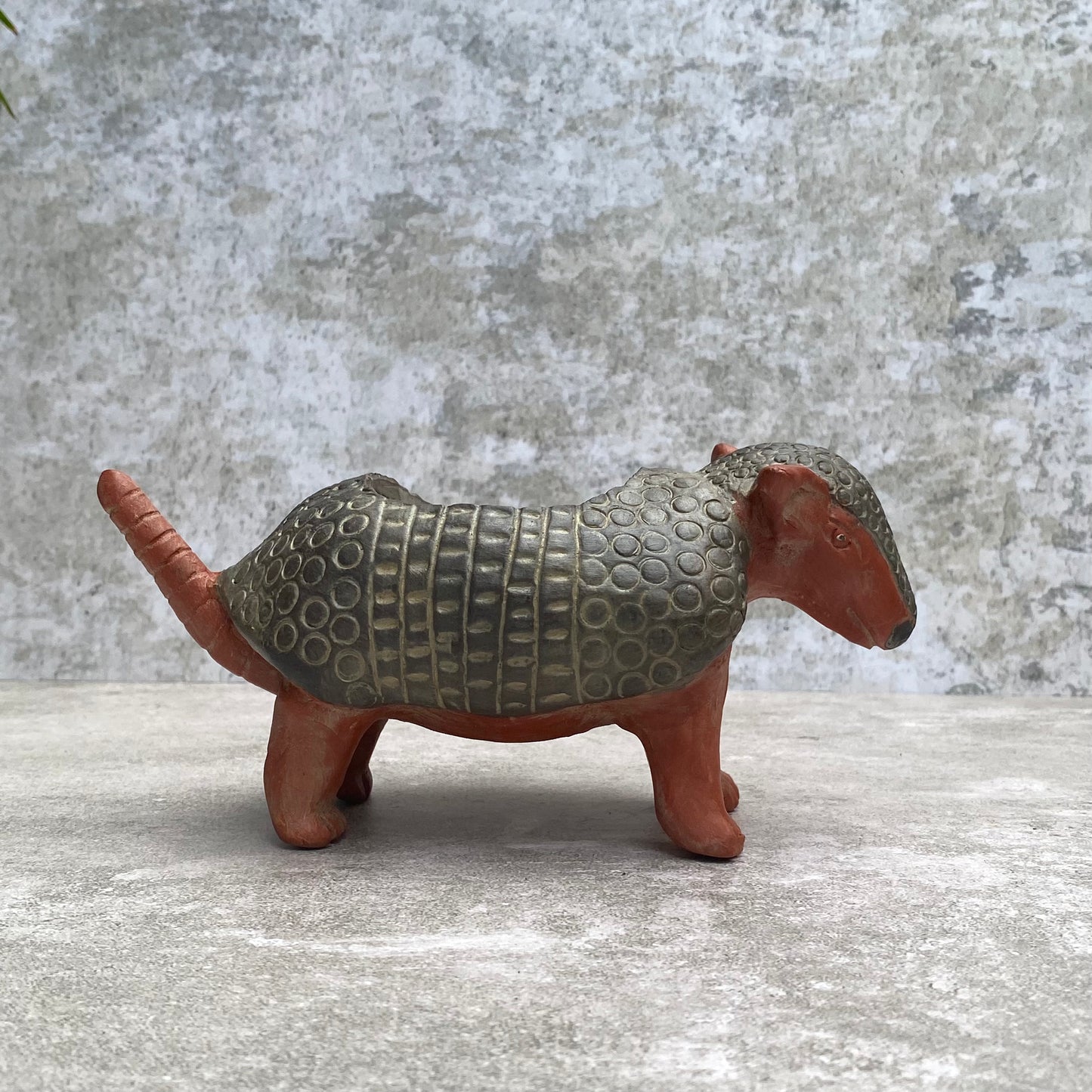 Maceta armadillo