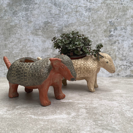 Maceta armadillo